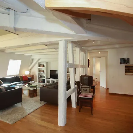 Colmarappart Rue Des Cles Apartment